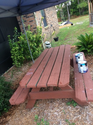 painting the bench